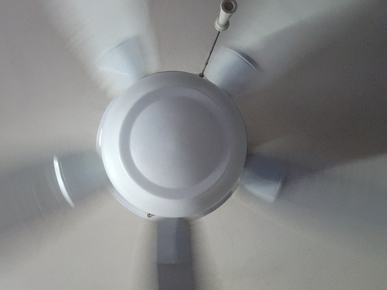 On Something Related to&nbsp;Lying