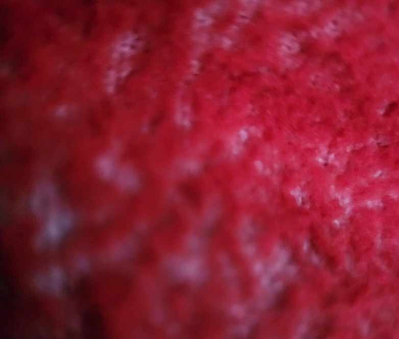 We Build, We&nbsp;Destroy